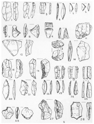 Figure 3: Late stone age tools from Kondapur highlighting the attempt to group the tools into typologies of similar shapes (Allchin and Satyanarayan 1959, 1).